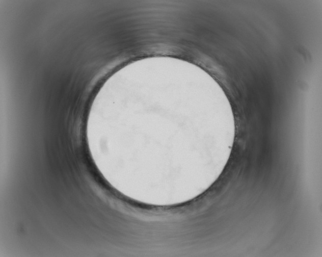 X0000111950012200909071329