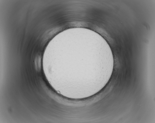 X0000111950014200909071329