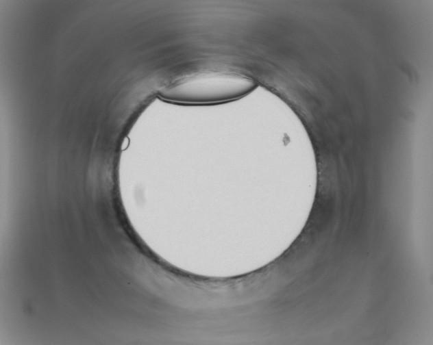 X0000111950015200909071329