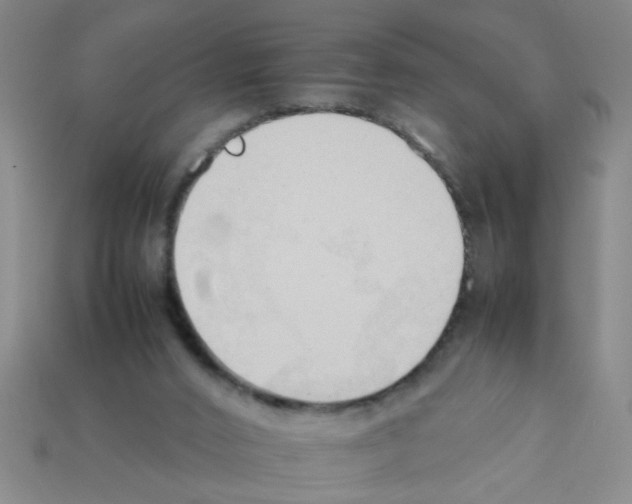 X0000111950016200909071329