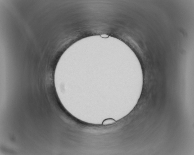 X0000111950017200909071329
