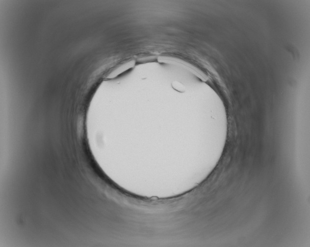 X0000111950019200909071329