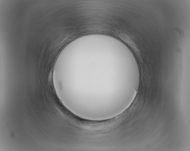 X0000111950021200909071329
