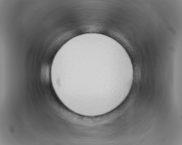 X0000111950022200909071329