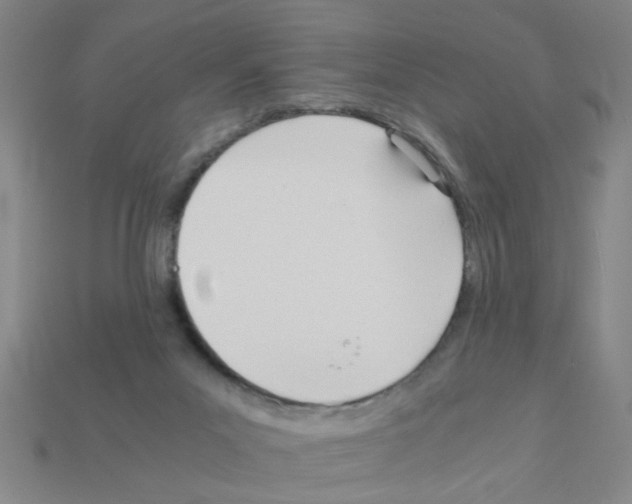 X0000111950023200909071329