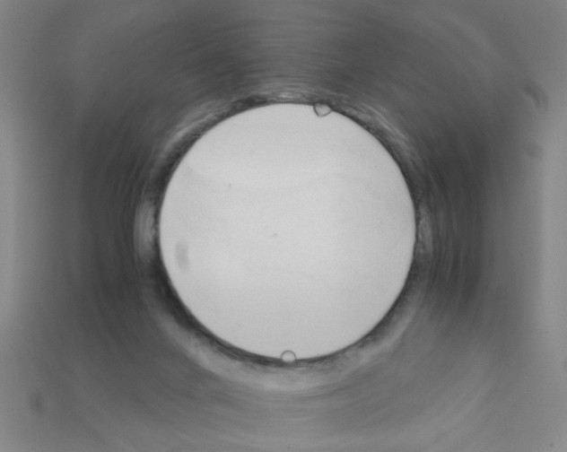 X0000111950024200909071329