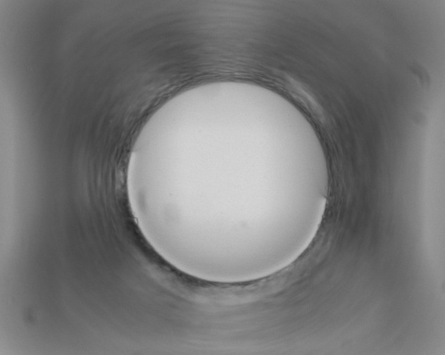 X0000111950025200909071329