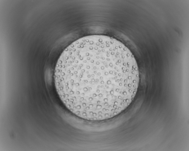 X0000111950026200909071328