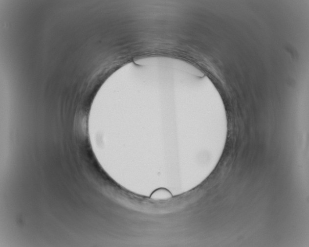X0000111950027200909071328