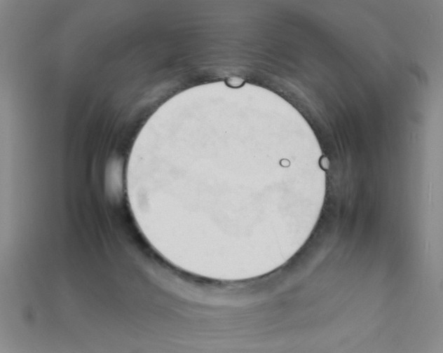 X0000111950028200909071328