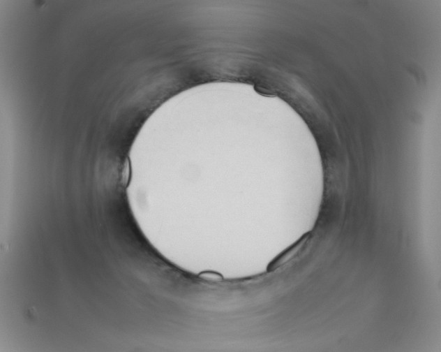 X0000111950029200909071328