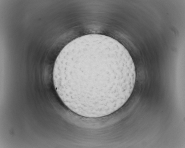 X0000111950030200909071328