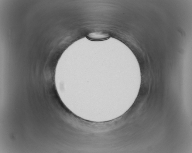 X0000111950031200909071328