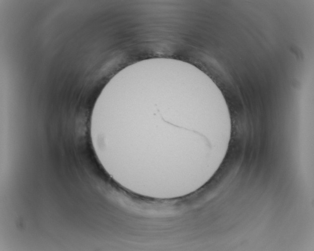 X0000111950032200909071328