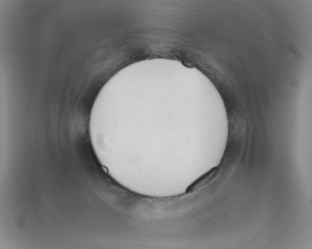 X0000111950033200909071328