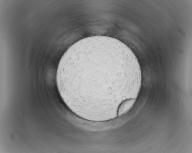 X0000111950034200909071328