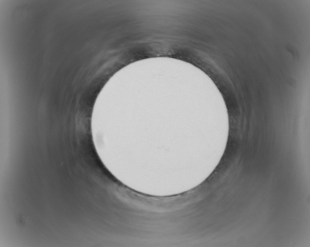 X0000111950035200909071328
