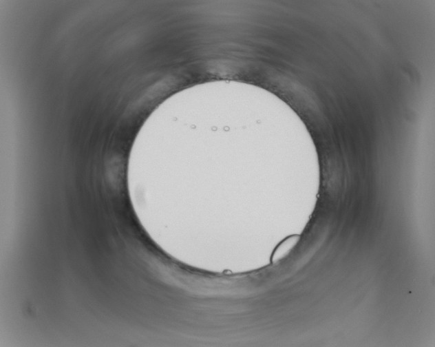 X0000111950036200909071328