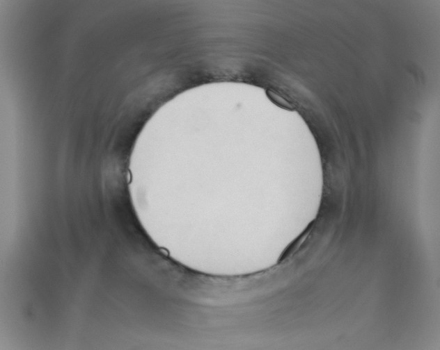 X0000111950037200909071328