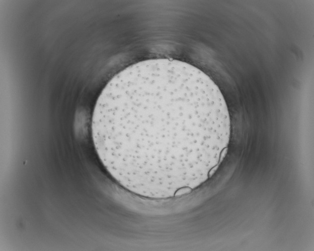 X0000111950038200909071328