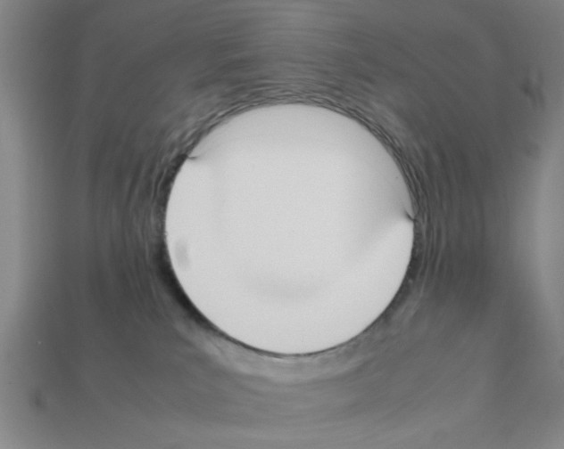 X0000111950039200909071328