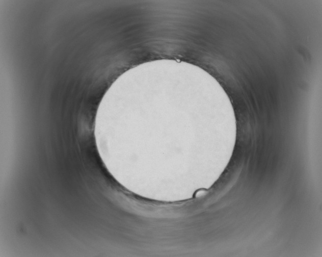 X0000111950040200909071328