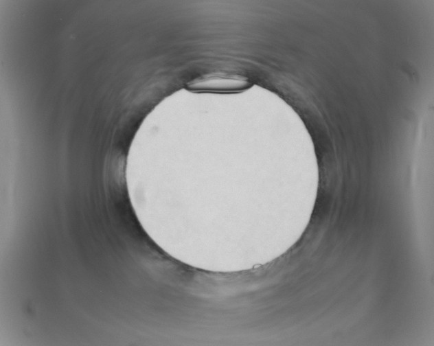 X0000111950041200909071328