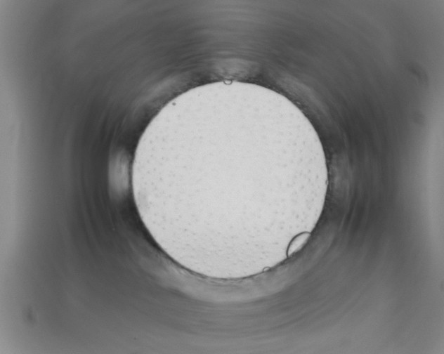 X0000111950042200909071328