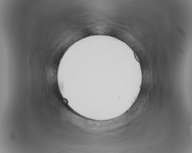X0000111950043200909071328