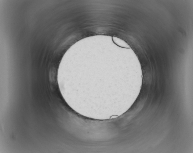 X0000111950044200909071328