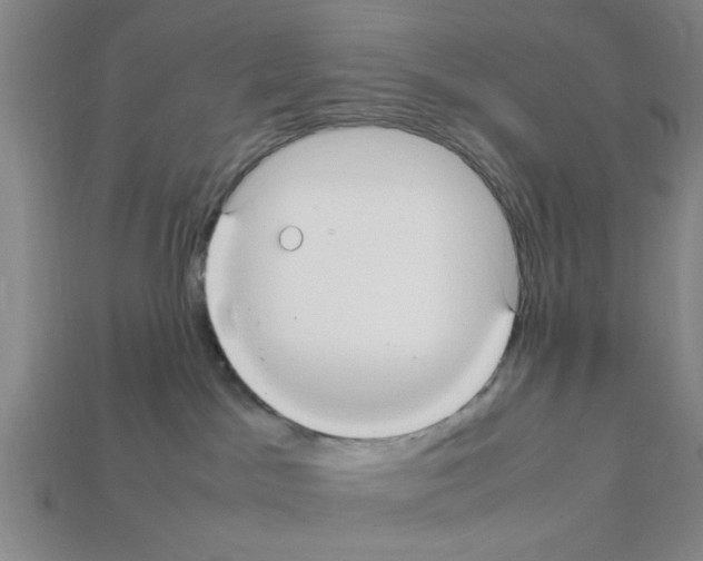 X0000111950045200909071328