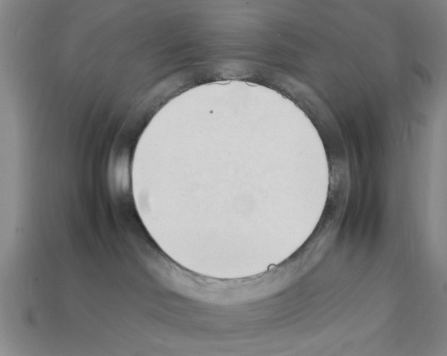 X0000111950046200909071328