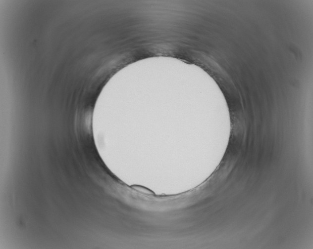 X0000111950047200909071328