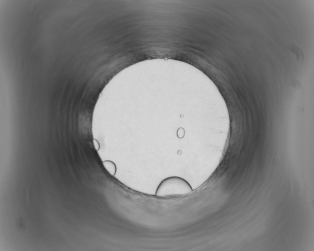 X0000111950048200909071328