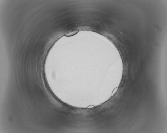 X0000111950049200909071328