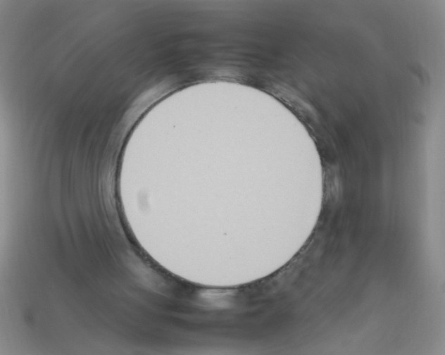 X0000111950051200909071328