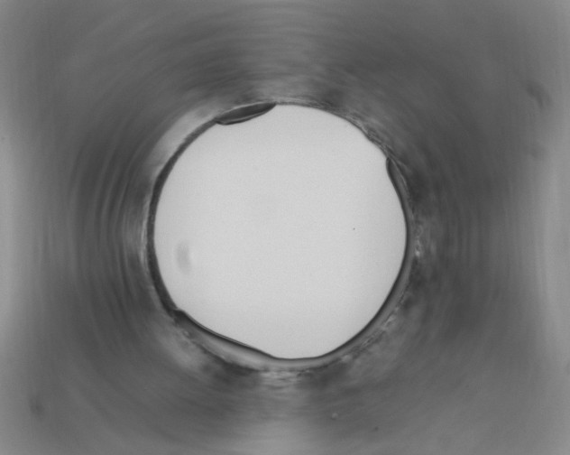 X0000111950052200909071328