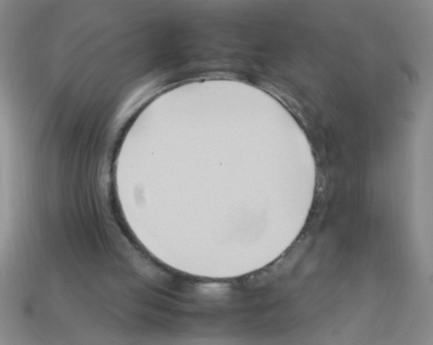 X0000111950053200909071328