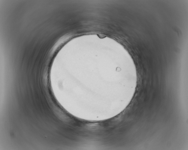 X0000111950054200909071328
