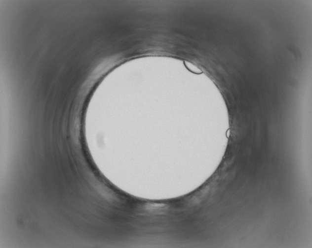 X0000111950055200909071328