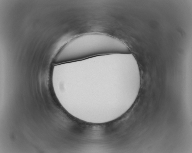 X0000111950056200909071328