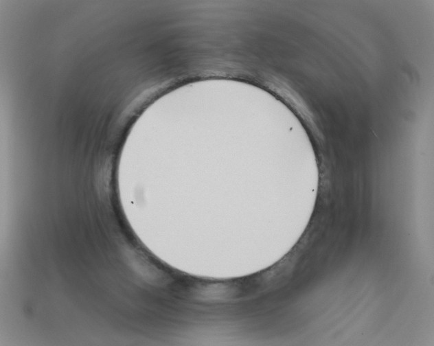 X0000111950058200909071328