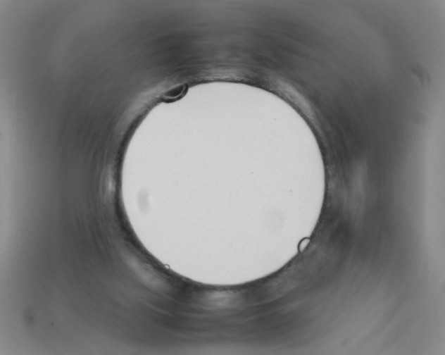 X0000111950059200909071328