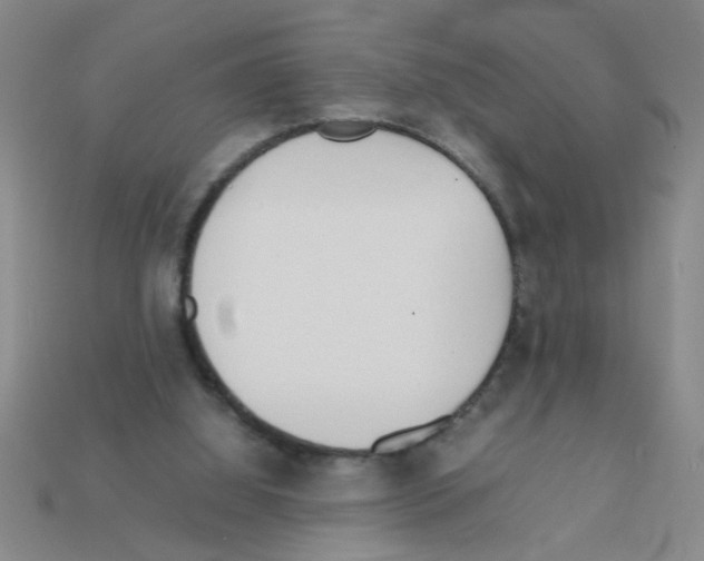 X0000111950060200909071328