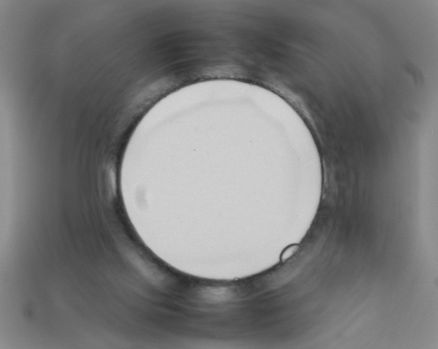 X0000111950061200909071328