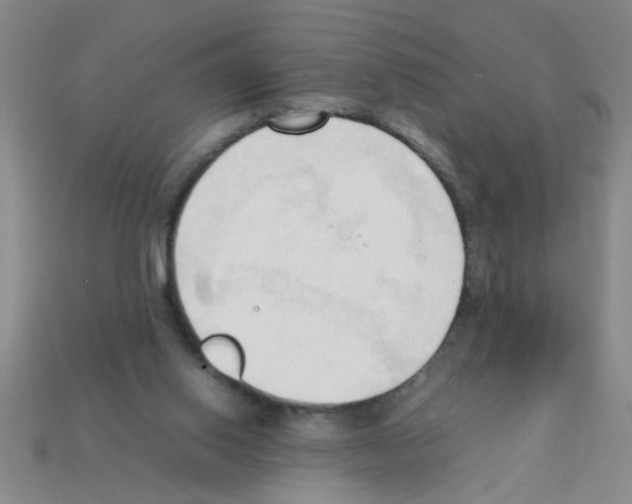 X0000111950062200909071328