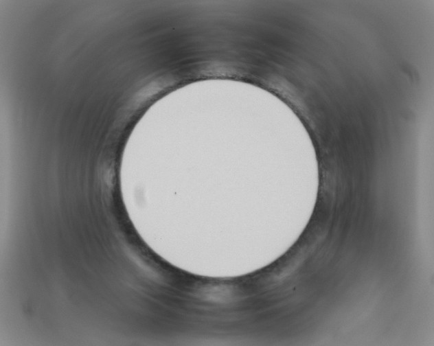 X0000111950063200909071328