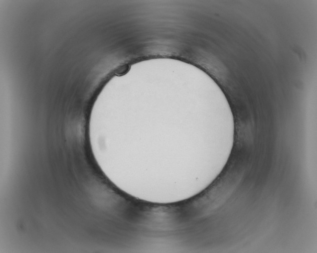 X0000111950064200909071328