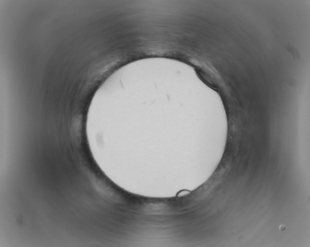 X0000111950066200909071328