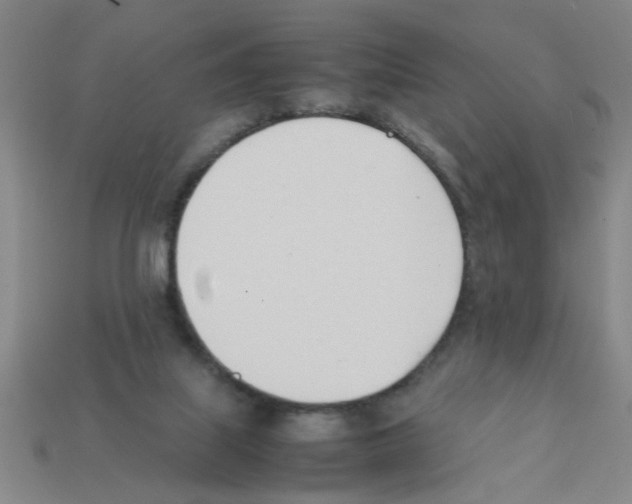 X0000111950067200909071328